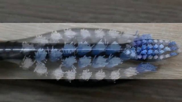 8er demirdental Aufsätze für Philips Sonicare Zahnbürstenaufsatz Sensitive смотреть онлайн