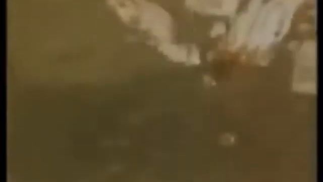 Liberal Lemmings смотреть онлайн