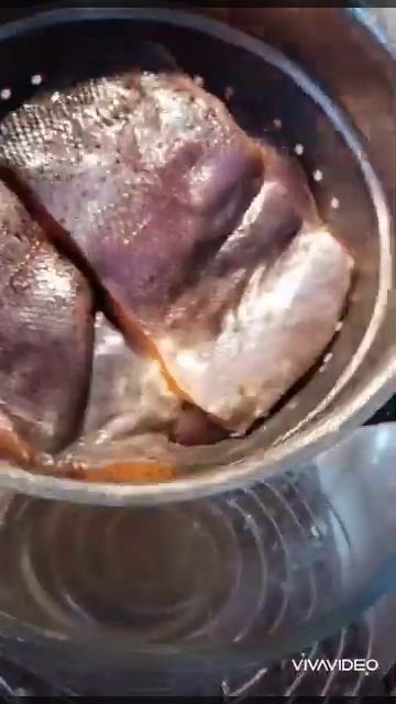 это не рыба, а песня смотреть онлайн