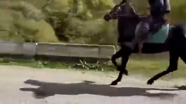 Алмаз. Сын Ашамаза смотреть онлайн
