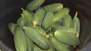 Огурцы на зиму без уксуса и сахара. Маринкины творинки. Всем МИРА и Добра!