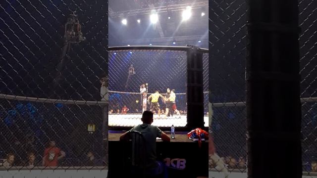 ACB 57. ACB 57. Матеус "Adamas" Маттос (Бразилия) vs. Магомед Гиназов. Часть 2 смотреть онлайн