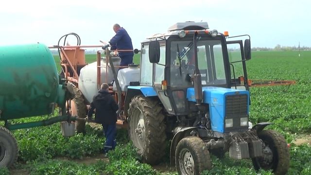 Посевная компания 2024:МТЗ 82 с опрыскивателем Jacto производит химобработку озимых культур