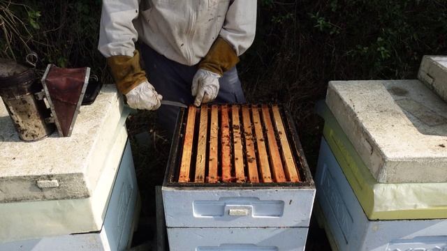 анализ точка в10 рамочных ульях и не только смотреть онлайн