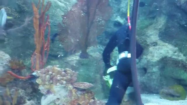 adventures with dragly ep.1 смотреть онлайн