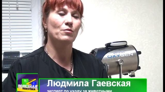 Камышин. Студия "Любимчик" (ролик №2) смотреть онлайн