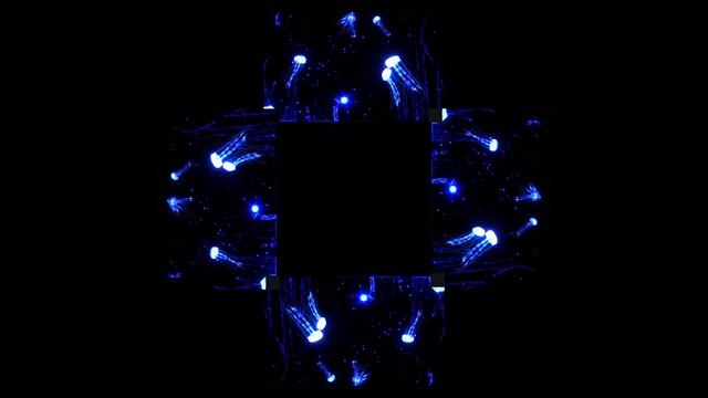 3D голограмма. Фееричное шоу! Дух захватывает. #hologram #голограмма #3dhologram