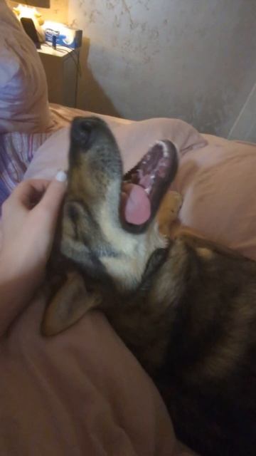 История Джаггера продолжается! смотреть онлайн