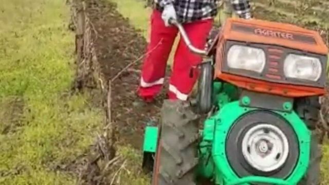 Ce poate sa facă un MOTOCULTOR cu freză în vie ? смотреть онлайн
