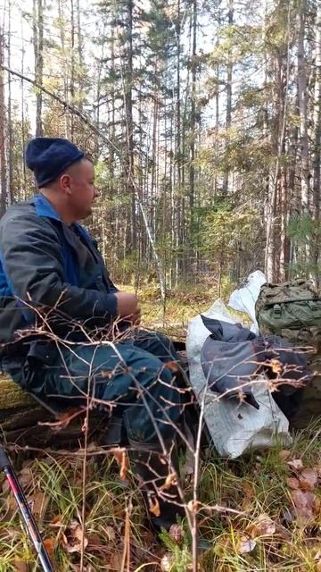 Маним изюбря. Охота. Тайга. Рыбалка. Лайки.We attract red deer. Hunting. Taiga. Fishing. Likes. смотреть онлайн