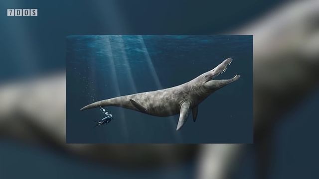 Massive Pliosaur Remains Discovered in Britain | 8 Days of Science смотреть онлайн