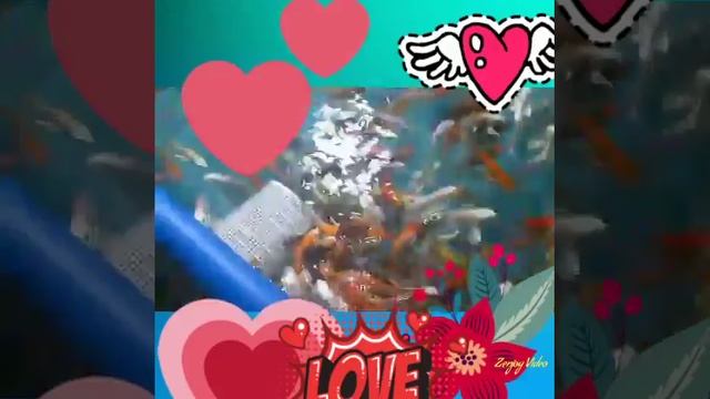 Маленькие рыбки смотреть онлайн