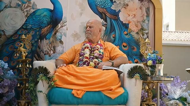 2025_02_01 Vyasa-puja BB Govinda Swami Damodardesh