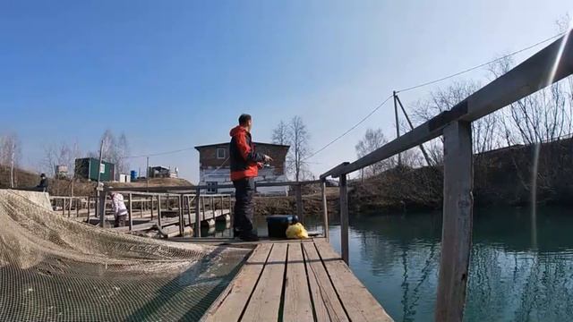 Открыл СПИННИНГОВЫЙ сезон ФОРЕЛЬЮ!!! Форелевая рыбалка на Изумрудном. Такая ловля форели в Сибири. смотреть онлайн