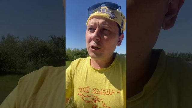 Как сбросить вес, держать все под контролем и ловить «чёрные волны» смотреть онлайн