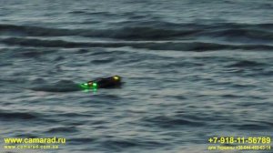 Тест устойчивости на море CamaraD Speed v3