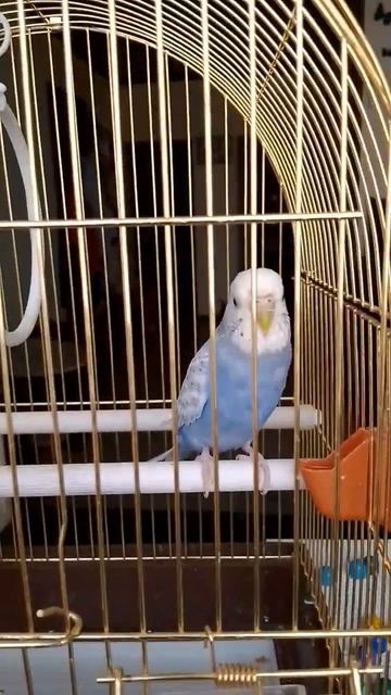 25 мая 2024 г. смотреть онлайн