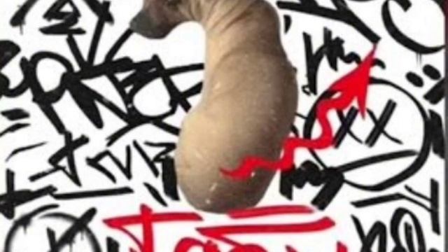 табу Dolinov  1 час!