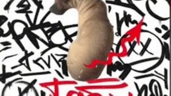 табу dolinov 1 час!