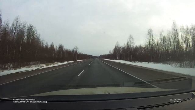 ласка перебегает дорогу перед машиной смотреть онлайн