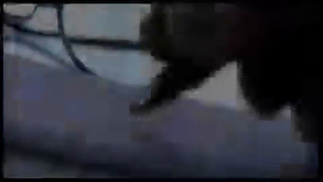 FIV Presentazione FIVPAV / Презентация FIVPAV смотреть онлайн