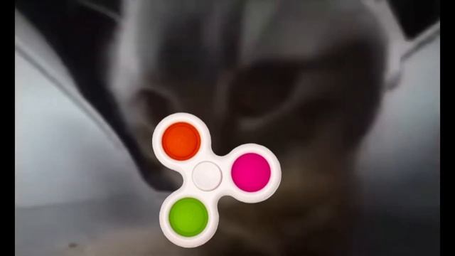 КОТ СИМПЛ ДИМПЛ СПИННЕР CHIPI CHIPI CHAPA CHAPA DUBI DUBI 1 ЧАС! НОВАЯ СЕРИЯ! смотреть онлайн