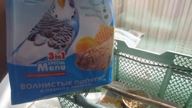 Покупали корм для попугайчика Цыпы. смотреть онлайн