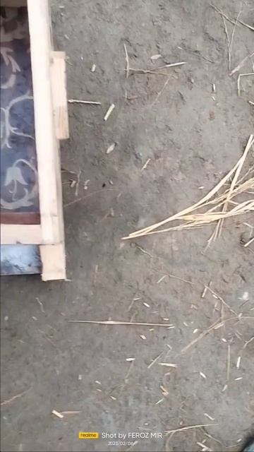 How to make bee box at home watch full video link in discription смотреть онлайн