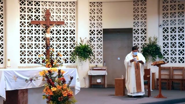 Wednesday - Memorial of Saint Jerome, Priest and Doctor of the Church 9 30 2020 смотреть онлайн
