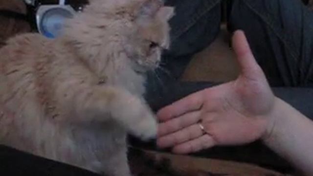 Фото 061 смотреть онлайн