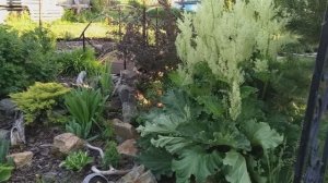 Клумба у водоема _ АРХИВ