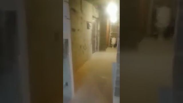 Дружная 21,Щеглово смотреть онлайн