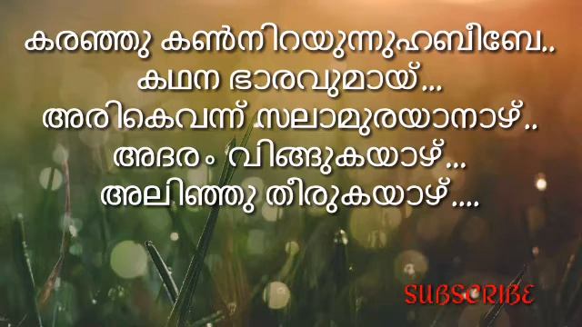 Shahin Babu New Madh Song & Lyrics 2020 смотреть онлайн