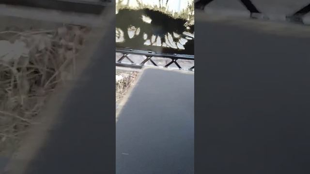 Мангал охотника. смотреть онлайн