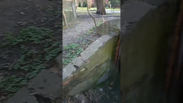 Погреб пастора смотреть онлайн