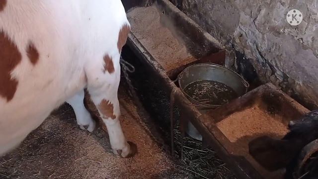 У Нас Выходных НЕТ!!!!!! смотреть онлайн