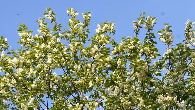 ЙөрәкТау! Яз * Весна 2018 смотреть онлайн