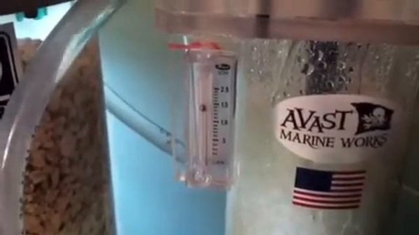Avast marine ozone reactor