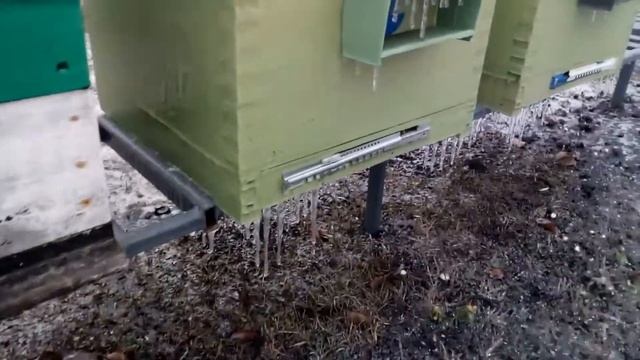ДОЖДЬ С МОРОЗОМ СДЕЛАЛ СВОЕ ДЕЛО. смотреть онлайн