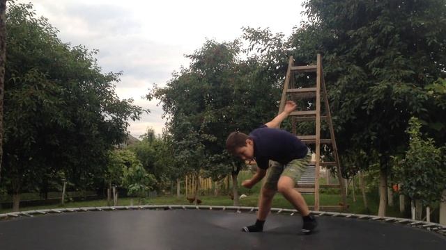 Animal Kingdom Expedition