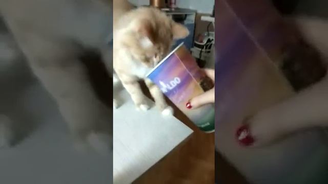 Очень хочет пить))) смотреть онлайн