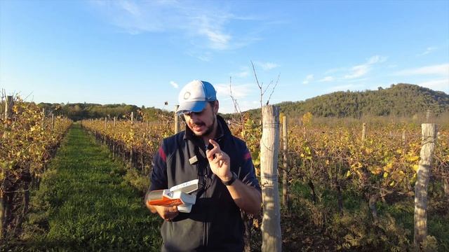 Il potatore Stihl GTA26 è utile in vigna? смотреть онлайн