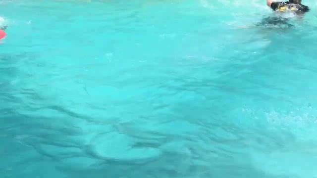 Let’s have some fun || FAMBAM Sa Pinas || Swimming Pool// FLAMINGO FLOAT смотреть онлайн