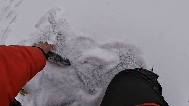 ЖЕРЛИЦЫ 2023! СТРЕЛЯЮТ одна за одной! ДИКИЕ места радуют. Ловля ГОЛОДНОЙ щуки на ЖЕРЛИЦЫ! Первый лед смотреть онлайн