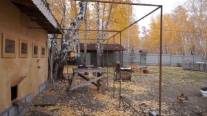 Выгул для кур своими руками