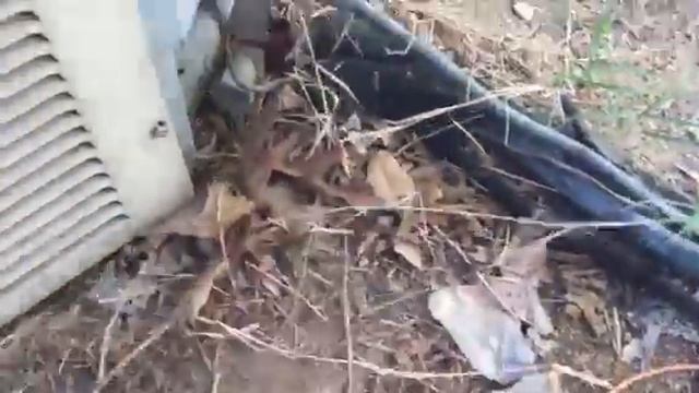 Inspecting Your AC - #AskAHomeInspector - Green Scene Home Inspections смотреть онлайн