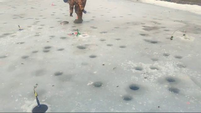 WhatsApp Video 2025-02-02 at 10.00.38 смотреть онлайн