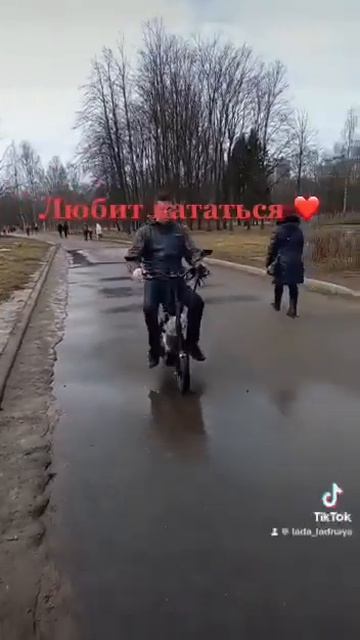 У нас есть шикарные щенки мальтезе. Питомник мальтезе (г. Томск) смотреть онлайн