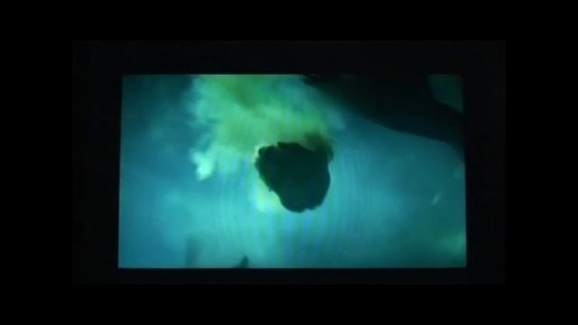 Manta Ray Birth смотреть онлайн