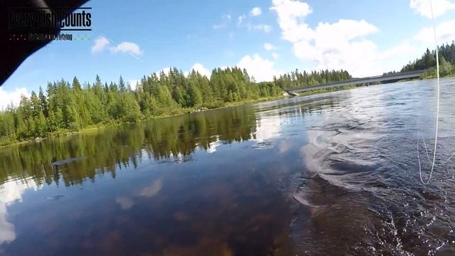 Vemdalen 2024 - Storharrens Rike смотреть онлайн